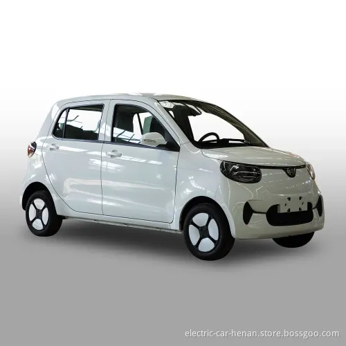 Henrey Popular Big Space Family Electric Car